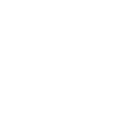 Icon Leaf